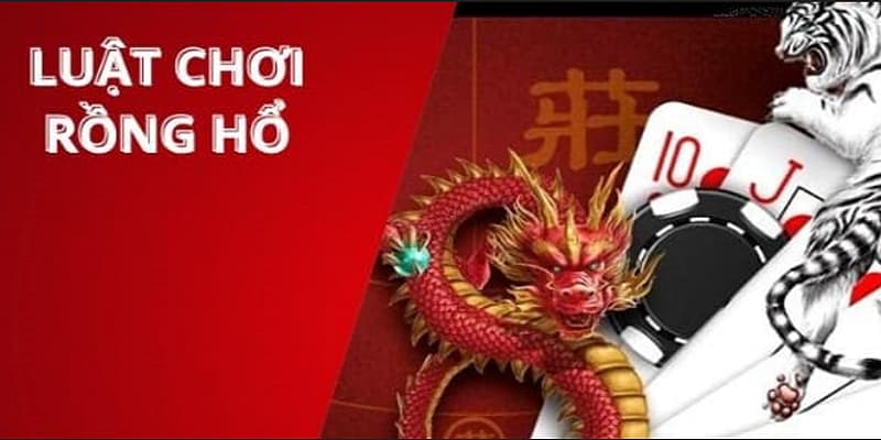 Rồng Hổ