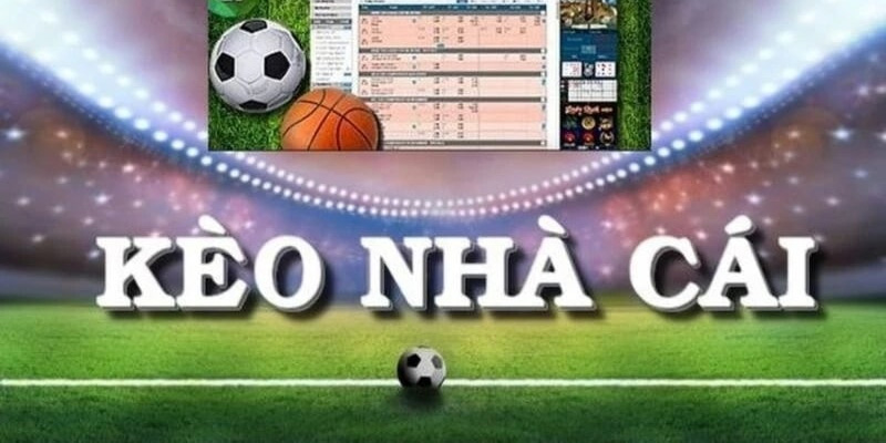 Bạn có thể tìm trận đấu để ra kèo nhà cái hiệu quả nhất