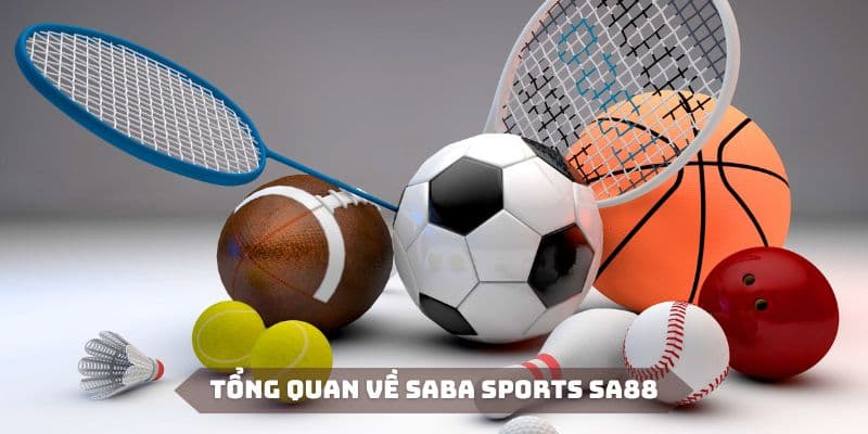 Tìm hiểu khái quát về thể thao Saba